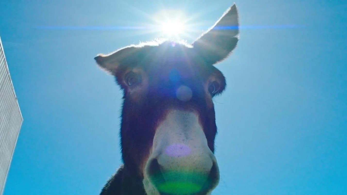 Perfectly a Strangeness hero